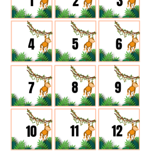 Cijferkaartjes jungle
